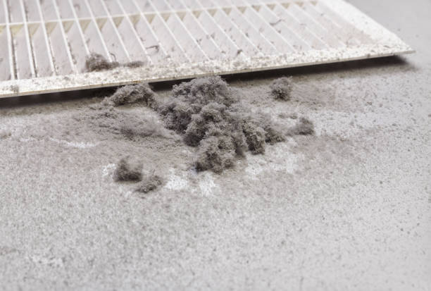 Best Air Vent Cleaning Services  in Random Lake, WI