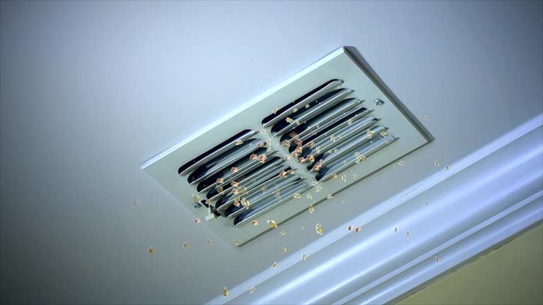 Best Affordable HVAC Duct Cleaning  in Random Lake, WI